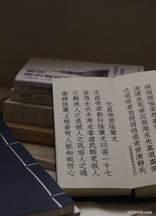 八字丁生於申月