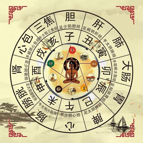八字中中陽運是什麼