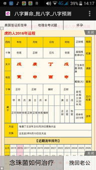 人生八字屬性