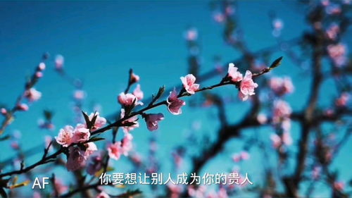 八字看貴人何時出現