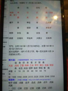 八字巳亥對衝怎麼辦