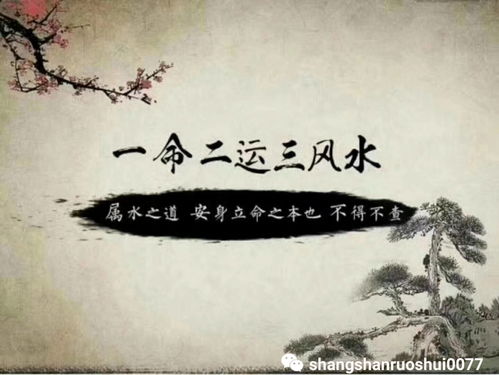 八字缺木表示沒有財