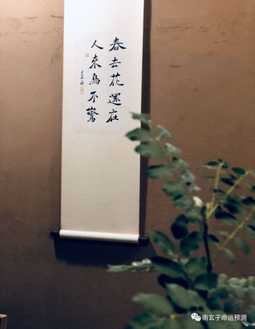 八字看大運庚寅