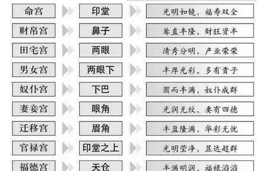 八字中墓的意思詳細解析