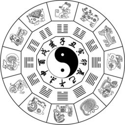 八字出生地是指什麼