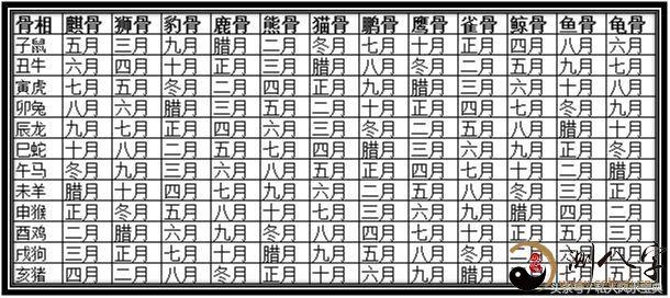 八字的幾兩幾錢越多越好嗎