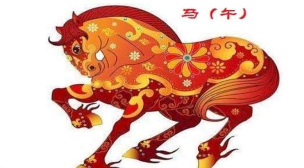 兩個卯兔八字合不和