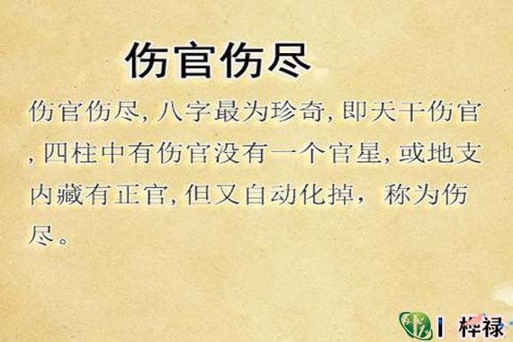 傷官傷盡的八字命理