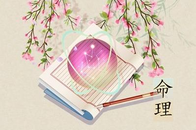 八字壬辰曰生於乙巳月