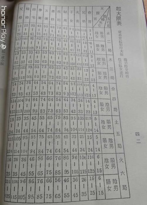 乙未年丁亥月癸巳日乙未時的八字