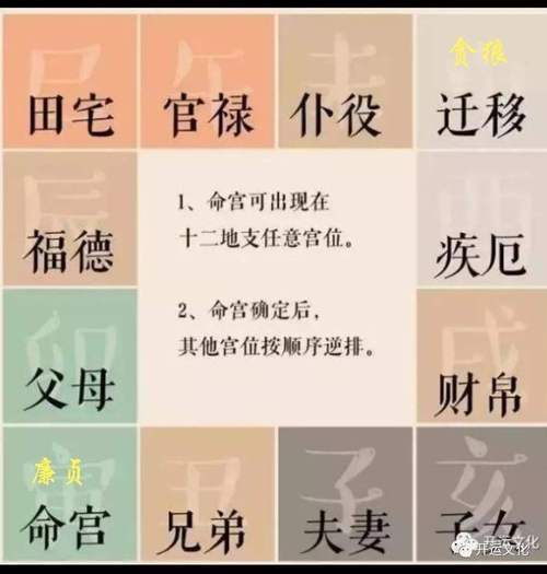 八字中的子女宮在哪一柱