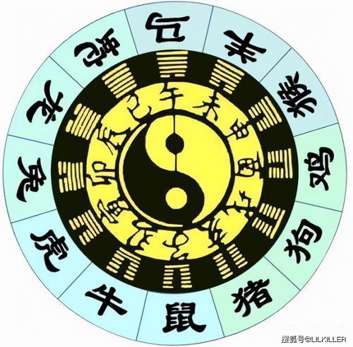 八字合屬相不合怎麼辦