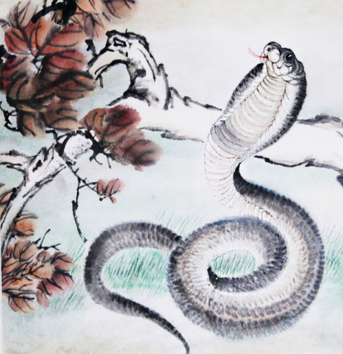 屬蛇的和屬猴的八字好不好