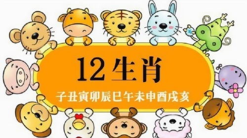 屬相相沖 八字相合