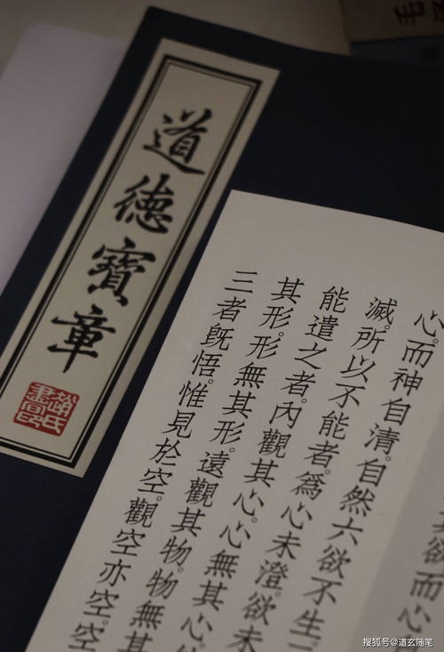 乙亥年亥時出生的女孩命運