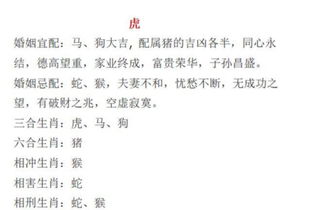 八字看配偶屬相表