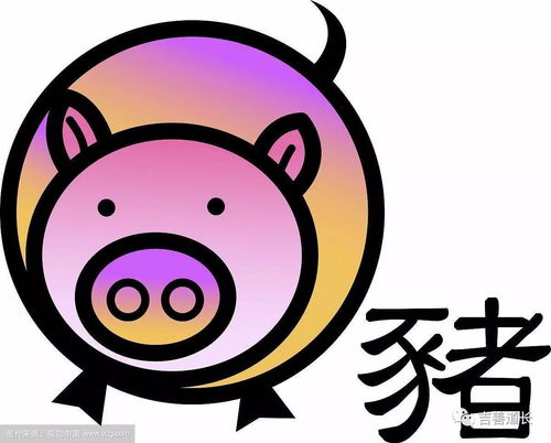 屬豬和屬鼠的婚姻怎麼樣
