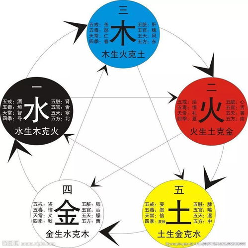 五行生肖查詢十二生肖五行屬性