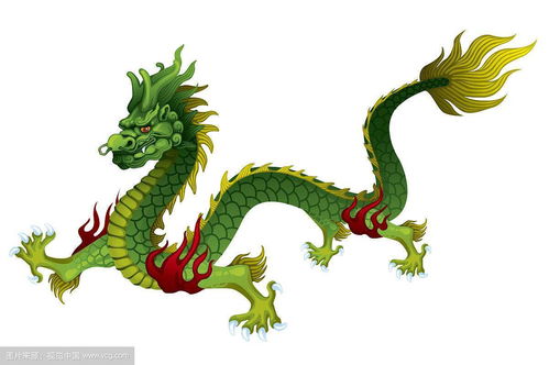 屬龍的生辰八字