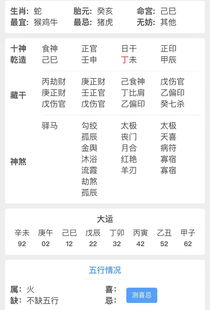 雞年五行八字怎麼解