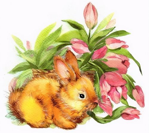 屬猴與屬兔相結合怎麼樣