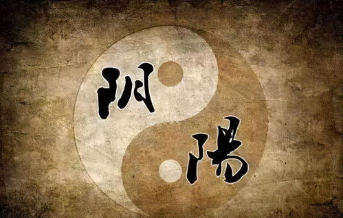 屬土的人八字曰元爲戍爲已