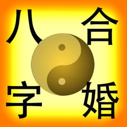 兩個人八字合局