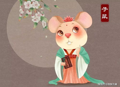 出生的鼠五行屬什麼