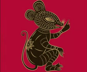 九六年的屬鼠男孩命運