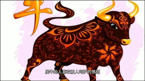 85屬牛的35歲後的運氣