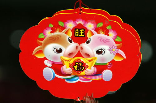 97年屬牛男的姻緣在哪年