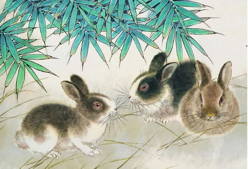 1963年屬兔人的全年運勢