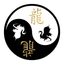 2023屬兔人的全年運勢如何