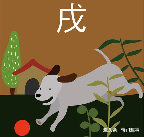 屬馬與屬兔的婚姻怎麼樣