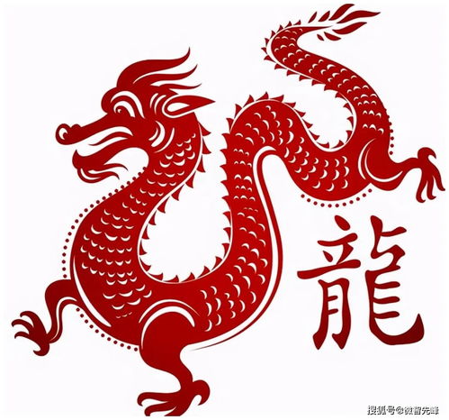 2000出生屬龍今年學業怎麼樣