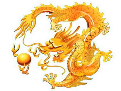 屬龍幾月份的是苦命