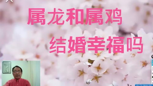 屬龍和屬雞的合婚嗎