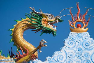 1988年屬龍的2023年多大