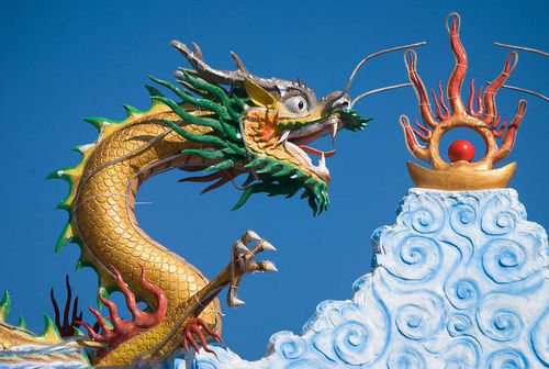 屬龍的人今年財運