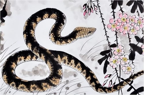 1977年屬蛇男婚配哪個屬相好