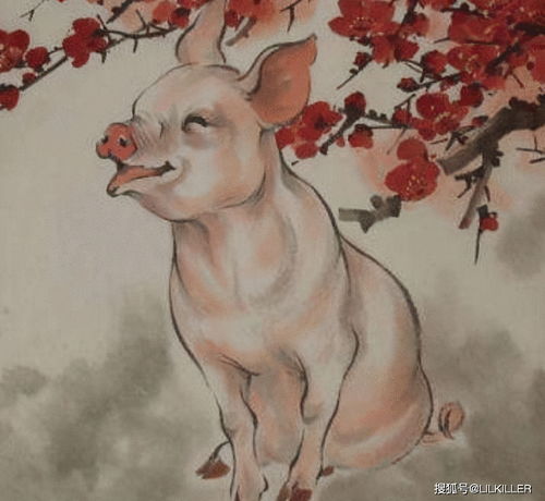 屬龍的和屬豬的相配嗎