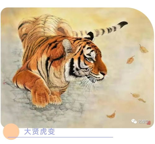 屬虎和屬馬的在一起財運如何