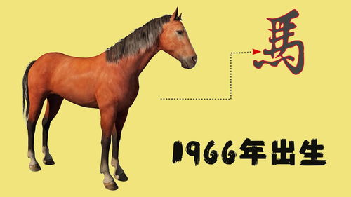 1966年屬馬人今年的運勢