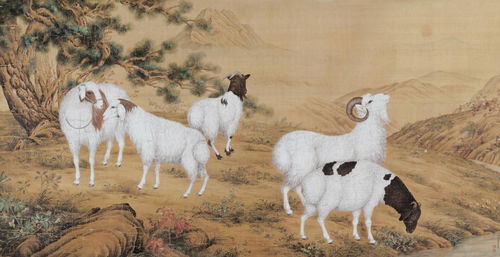 2003年6月屬羊是什麼命男