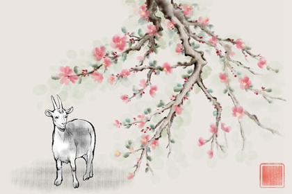 幾月的鼠是富貴命 有什麼說法